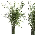 Decorative Ornament Set With Green Leafy Branches In Transparent Glass Vases For Interior Decor