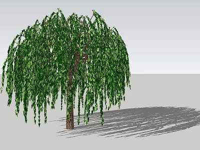 Weeping Willow Tree With Long Hanging Green Leaves And Brown Trunk Casting Shadow On Ground 3d model