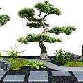 Artistic Garden Ornaments Design With Various Trees Stones Small Plants And Pathway