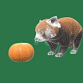 Modern red panda red panda meerkat thin-tailed monkat 3d model