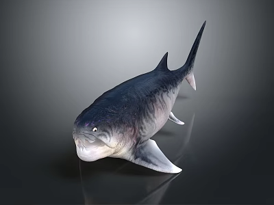 Realistic 3D Fish Model With Detailed Fins Sleek Tail And Gray Background 3d model