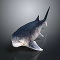 Realistic 3D Fish Model With Detailed Fins Sleek Tail And Gray Background