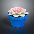 Decorative Succulent Plant in Blue Pot with Pink and Green Petals