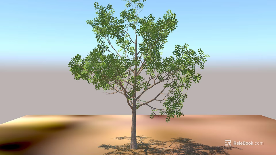 Arbor Tree With Lush Green Leaves And Tall Trunk In Outdoor Setting 3d model 