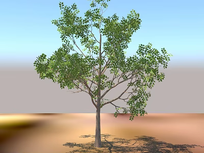 Arbor Tree With Lush Green Leaves And Tall Trunk In Outdoor Setting 3d model