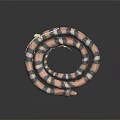 Colorful Coiled Snake With Pink And Black Stripes On Black Background With Shiny Surface