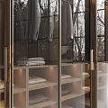 Modern Wardrobe Interior with Glass Doors Hanging Clothes Shelves and Drawers