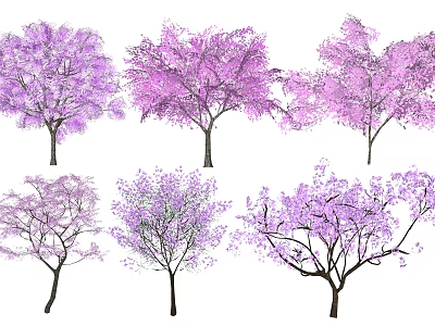 Lush Purple Flowering Trees Displaying Various Blossom Shapes And Growth Forms 3d model