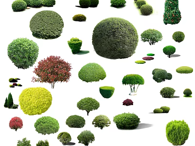 Various Shaped Ornamental Arbor Trees With Colorful Leaves And Pruned Forms 3d model