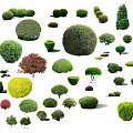Various Shaped Ornamental Arbor Trees With Colorful Leaves And Pruned Forms