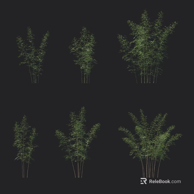 Different Types of Bamboo Plants with Green Foliage Against Black Background 3d model 