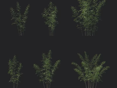 Different Types of Bamboo Plants with Green Foliage Against Black Background 3d model