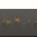 Golden Grass Displaying Various Shapes Different Heights And Spike Structures On Gray Background 3d model
