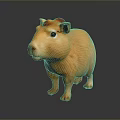 3D Animated Capybara Game Character With Orange Brown Fur Shiny Texture And Standing Pose