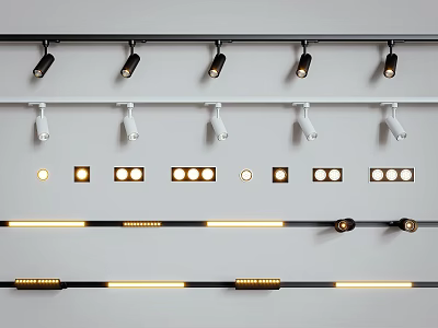 Modern Downlights and Spotlights Black White Track Mounted Home Lighting Fixtures 3d model