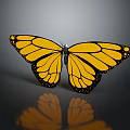 Yellow Butterfly With Black Spots On Spread Wings And Reflection On Gray Background