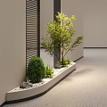 Elegant Bonsai Plants In Long Planter With Small Stones And Low Shrubs Near Light-Colored Walls