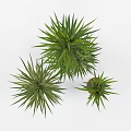 Tall and Short Green Leafy Potted Plants in White and Brown Indoor Pots