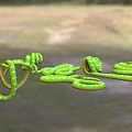 Emerald Green Tree Anaconda Emerald Python Emerald Anaconda Green Tree Anaconda Snake 3d model