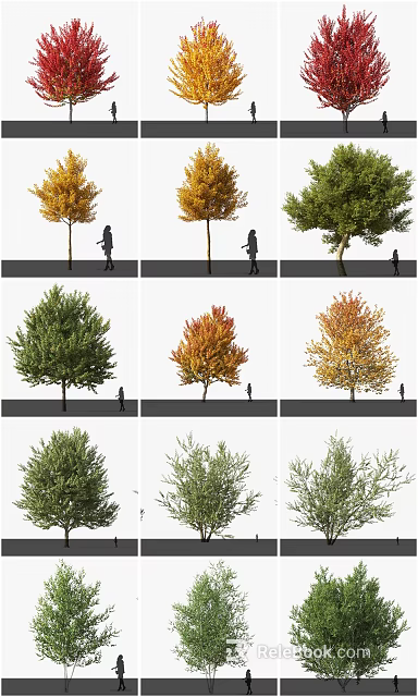 Diverse Arbor Trees Showcasing Colorful Foliage With Human Figures For Scale 3d model