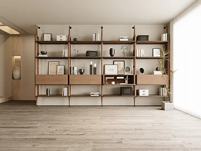 White And Wooden Modern Bookshelf With Shelves Books Decorations Photo Frames Plant And Natural Light 3d model