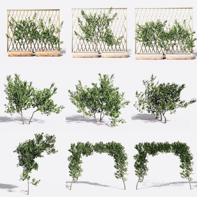 Decorative Green Plants Featuring Fence Bushes Arched Hedges And Various Shapes 3d model 