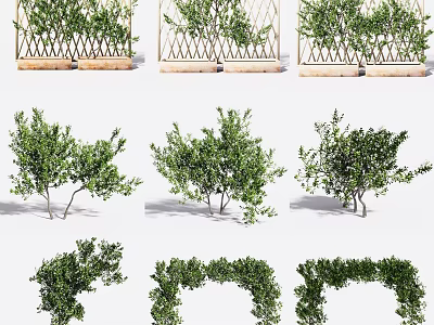 Decorative Green Plants Featuring Fence Bushes Arched Hedges And Various Shapes 3d model
