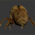 Detailed 3D Rendered Beetle With Brown Yellow Carapace And Leg Details On Gray Background