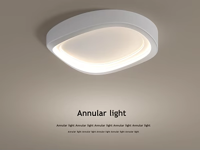 Modern Annular Ceiling Light With Bright Illumination 3d model