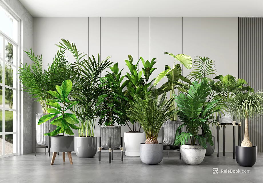 Indoor Bonsai Potted Plants With Various Green Foliage In Modern Ceramic Pots 3d model 