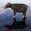Ancient Reptile Standing On Water Surface With Clear Reflection And Blue Sky Background