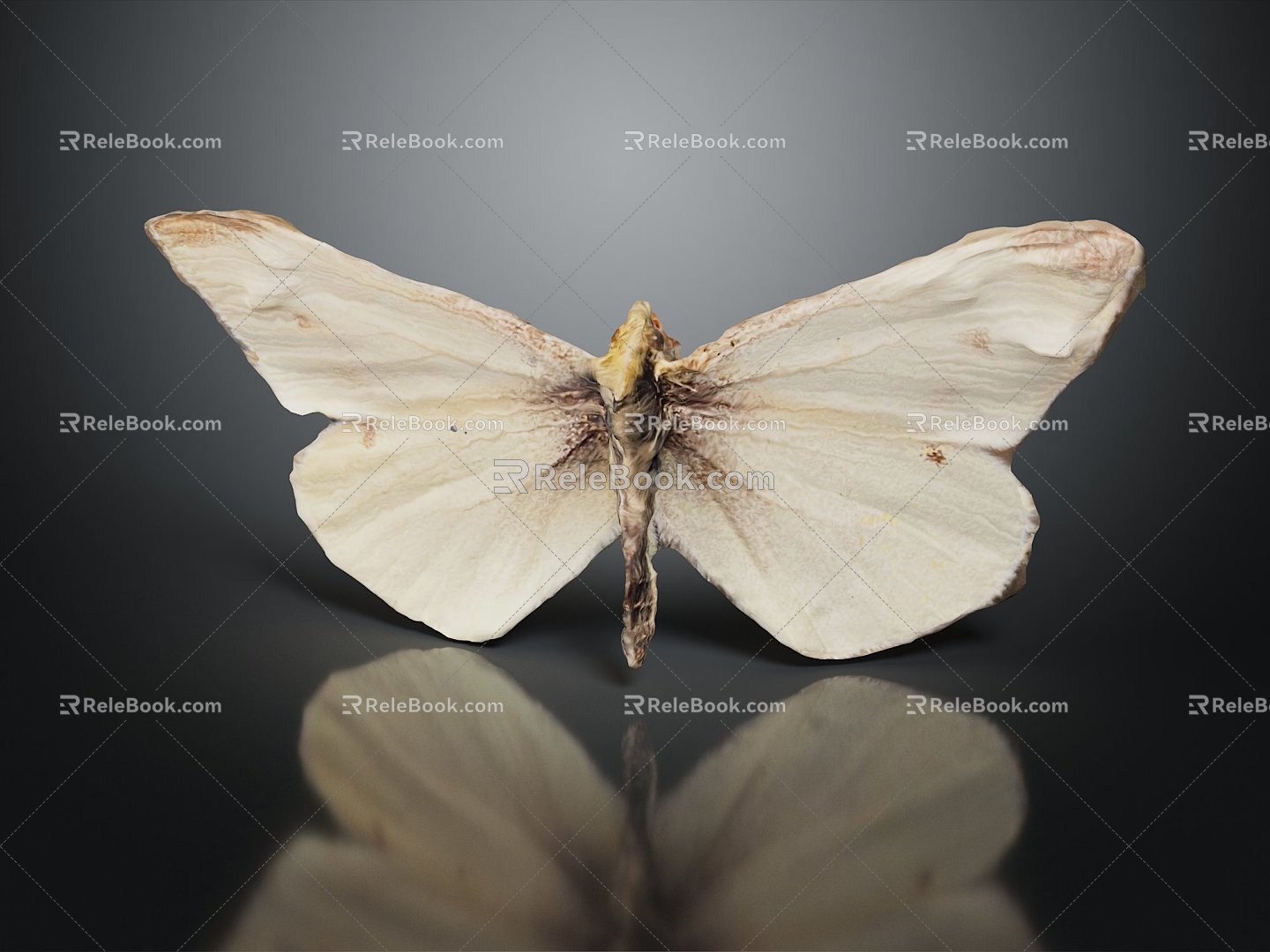 Modern Butterfly Green Vein White Colored Butterfly 3d model