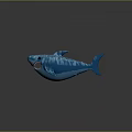 Cute Blue Striped Shark 3D Model With Open Mouth And Sharp Teeth
