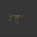 Modern skeleton dinosaur skeleton dinosaur fossil 3d model