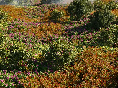 Vibrant Shrub Garden with Colorful Foliage and Purple Flowers in Natural Landscape 3d model