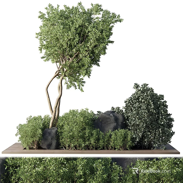 Elegant Bonsai Plant Arrangement with Curved Tree Green Shrubs and Black Rocks on Wooden Base 3d model 