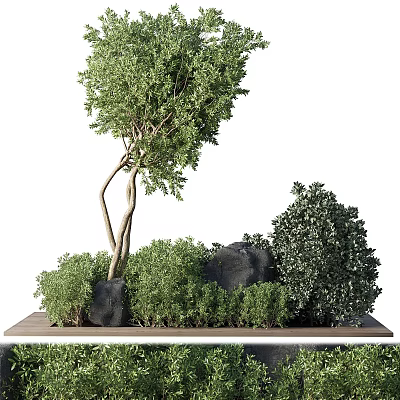 Elegant Bonsai Plant Arrangement with Curved Tree Green Shrubs and Black Rocks on Wooden Base 3d model