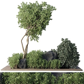 Green plant bonsai green plant pile outdoor garden landscape sketch shrubs 3d model