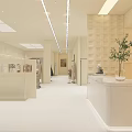 Modern Clothing Store Interior With Reception Desk Mannequin And Elegant Decor
