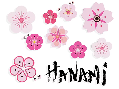 Cherry Blossom Silhouette Design with Pink Red Flowers and Hanami Text Art 3d model