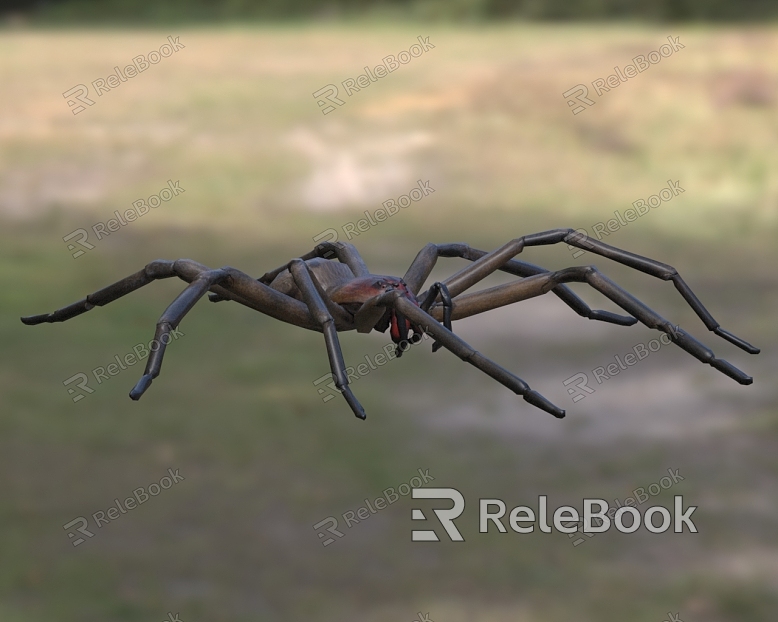 Red-tooth wandering spider creature animal model