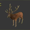 Realistic Red Deer 3D Model With Large Antlers Standing On Dark Background 3d model