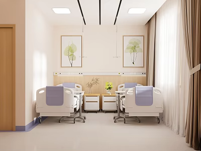 Bright Hospital Room Interior With Two Beds Wooden Headboards Green Plant Paintings And Flower Vase 3d model