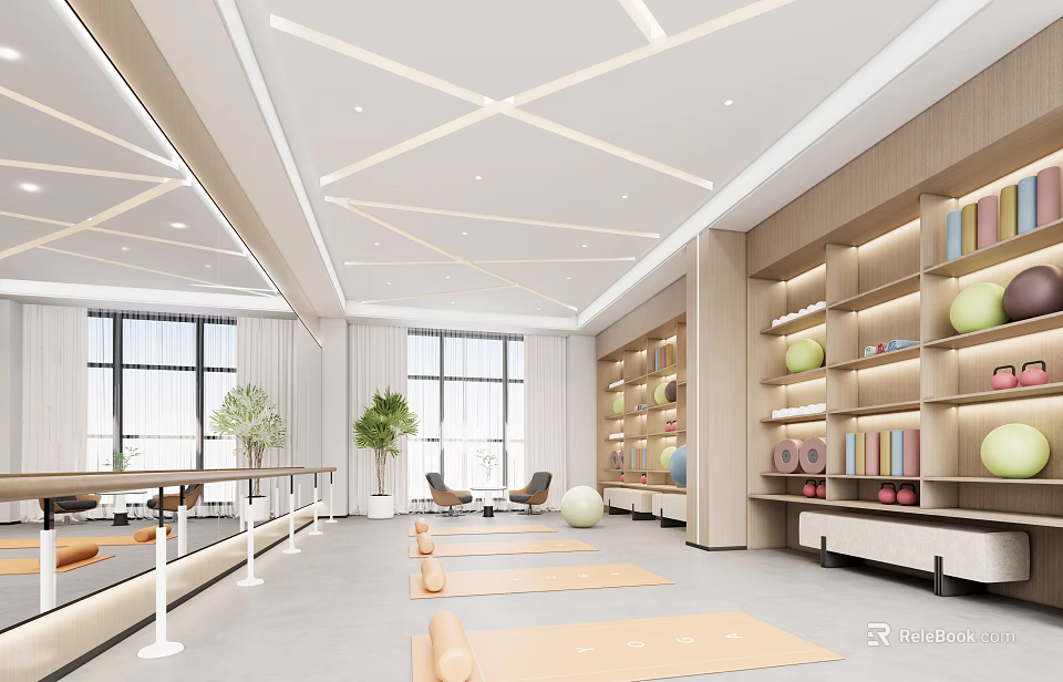 Spacious Yoga Fitness Studio With Yoga Mats Wooden Shelves And Green Plants 3d model 