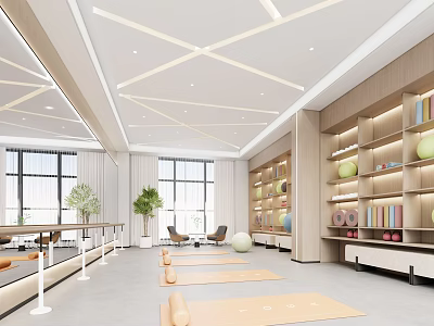 Spacious Yoga Fitness Studio With Yoga Mats Wooden Shelves And Green Plants 3d model