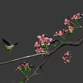 Beautiful Branch With Pink Blossoms And Flying Bird In Natural Scene