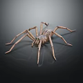 Brown Spider With Long Legs Patterned Body And Prominent Eyes On Dark Background