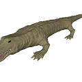 Crocodile 3d model