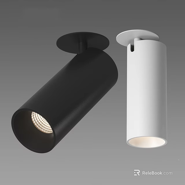 Modern Black And White Downlight Spotlights For Indoor Ceiling Lighting 3d model 