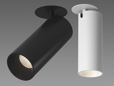 Modern Black And White Downlight Spotlights For Indoor Ceiling Lighting 3d model